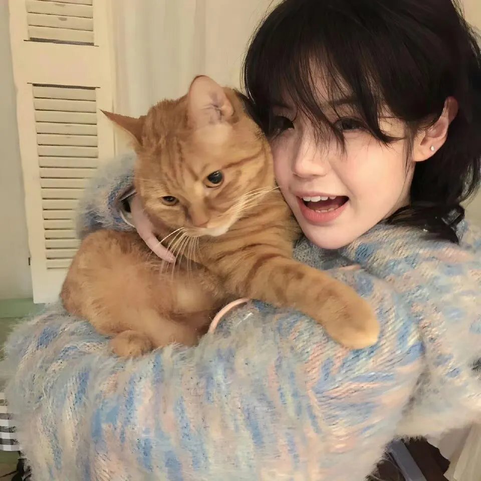 你整我，我整你